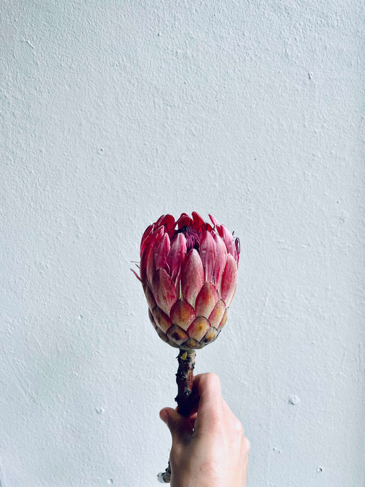 una flor decorativa 